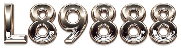 l89888 logo